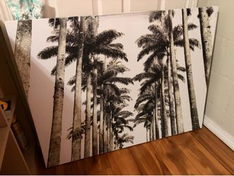 Black and White Palm tree wall Art