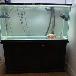 Fish Tank