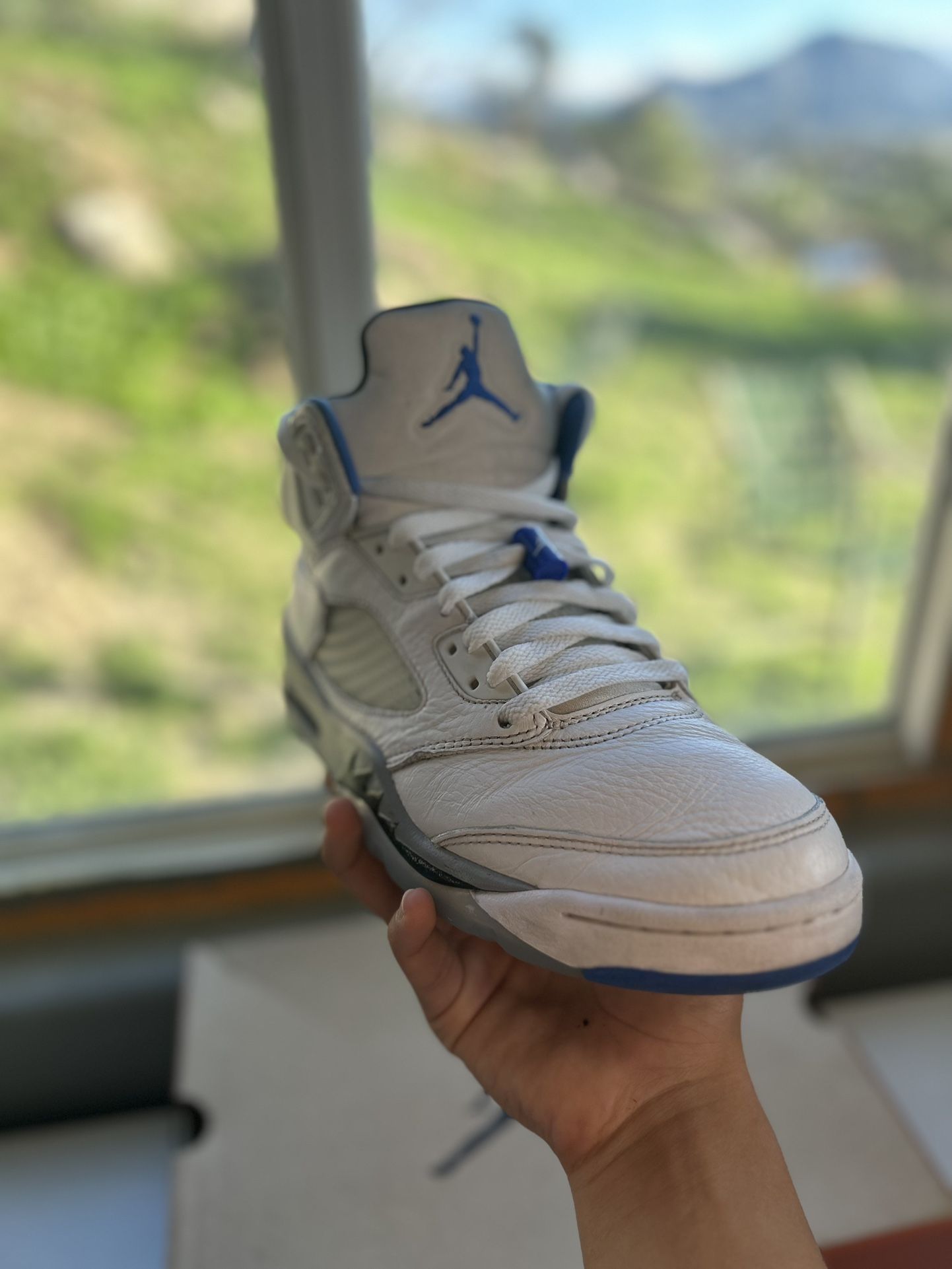 Jordan Retro White Stealth