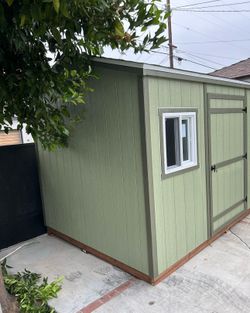 Shed 8x10x8