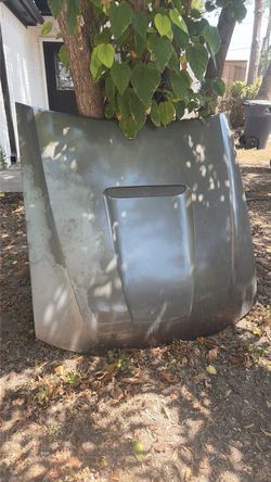 2002 Ford Mustang Hood