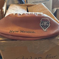 Lobo Or Aggies Football Hats By The Case