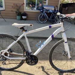 Mountain Bike (Calico)