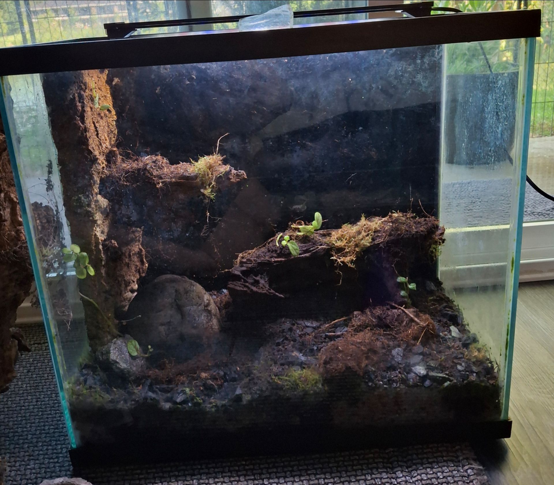 Terrarium
