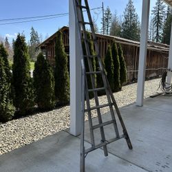 Orchard Ladder