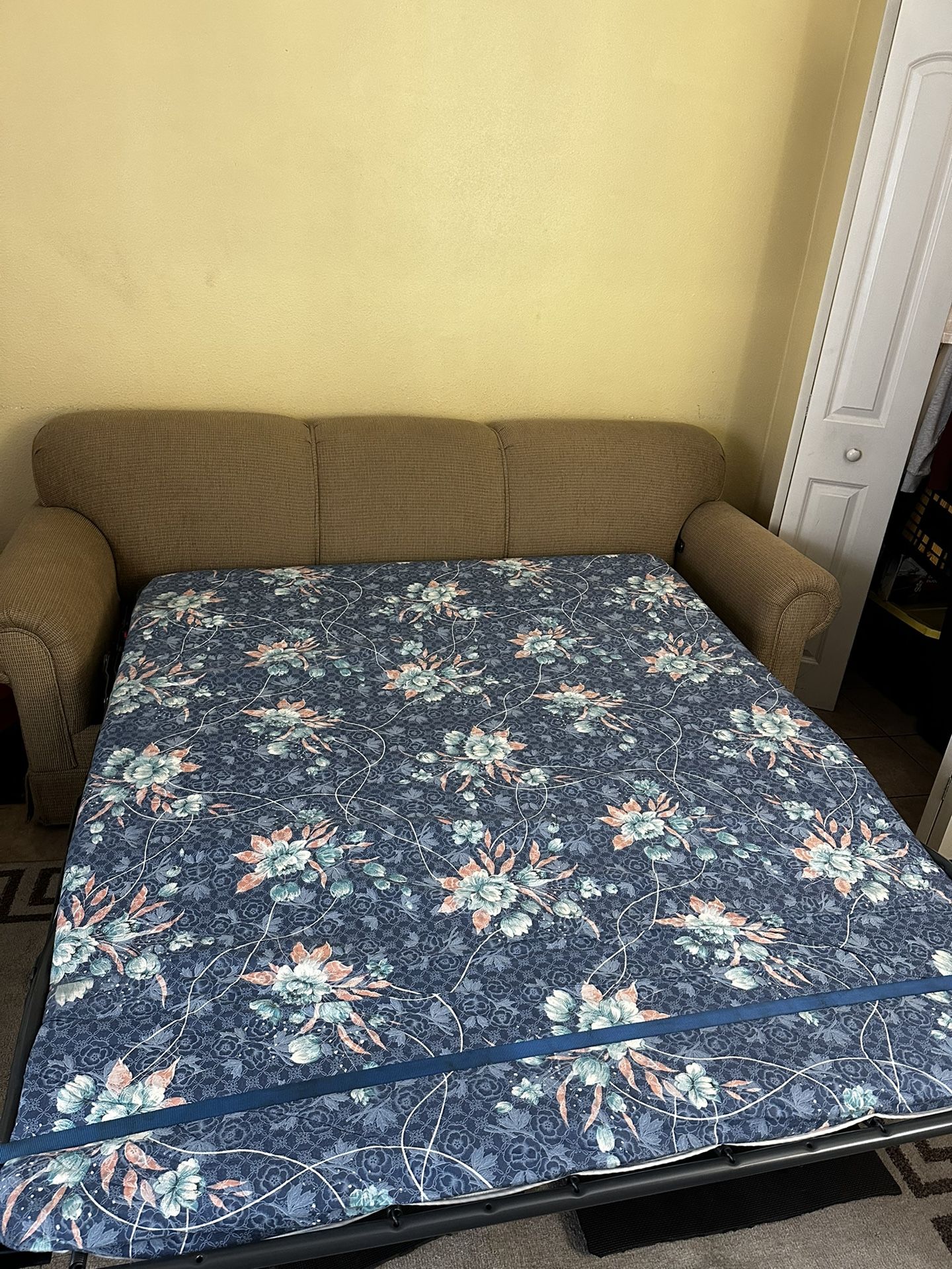 Pull Out Couch Bed