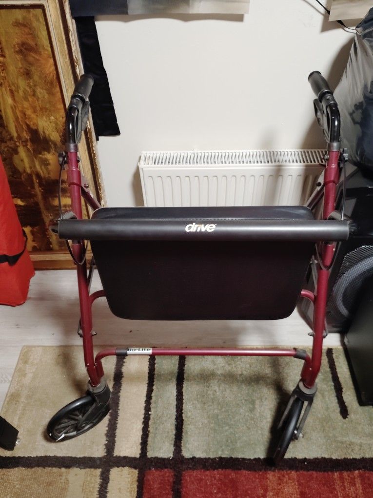 Large Heavy Duty Walker