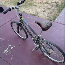 Giant Hybrid Bike