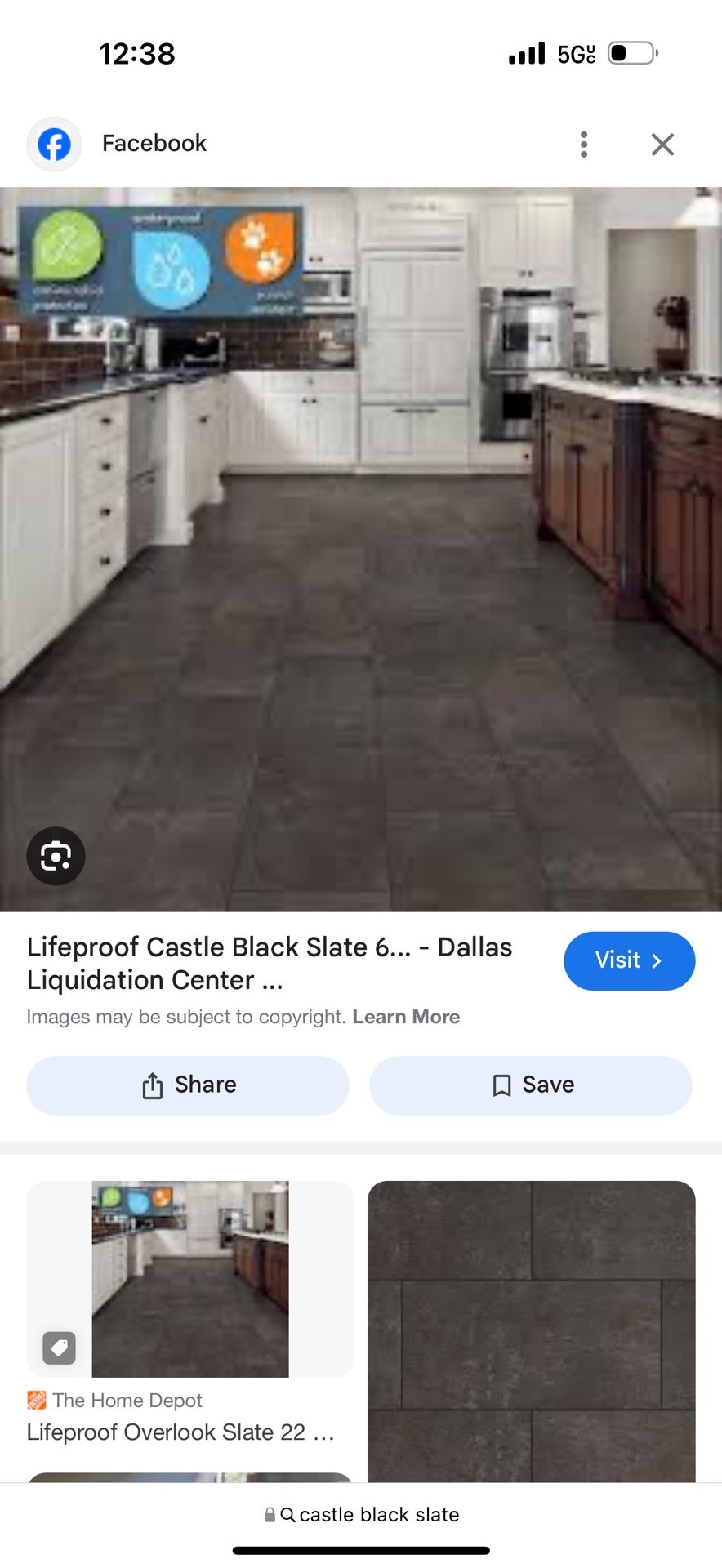 Lifeproof Castle Black Slate 12 in. W x 23.82 in. L Luxury Vinyl Plank Flooring (23.82 sq. ft.) Regular price $3.99
