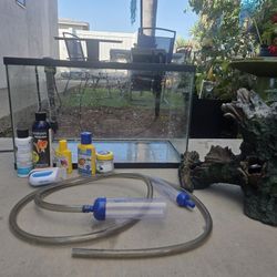 10 Gallon Fish Tank Set Up