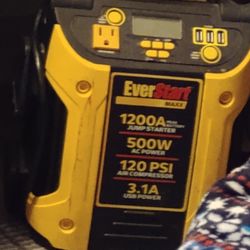 EVERSTART power Box