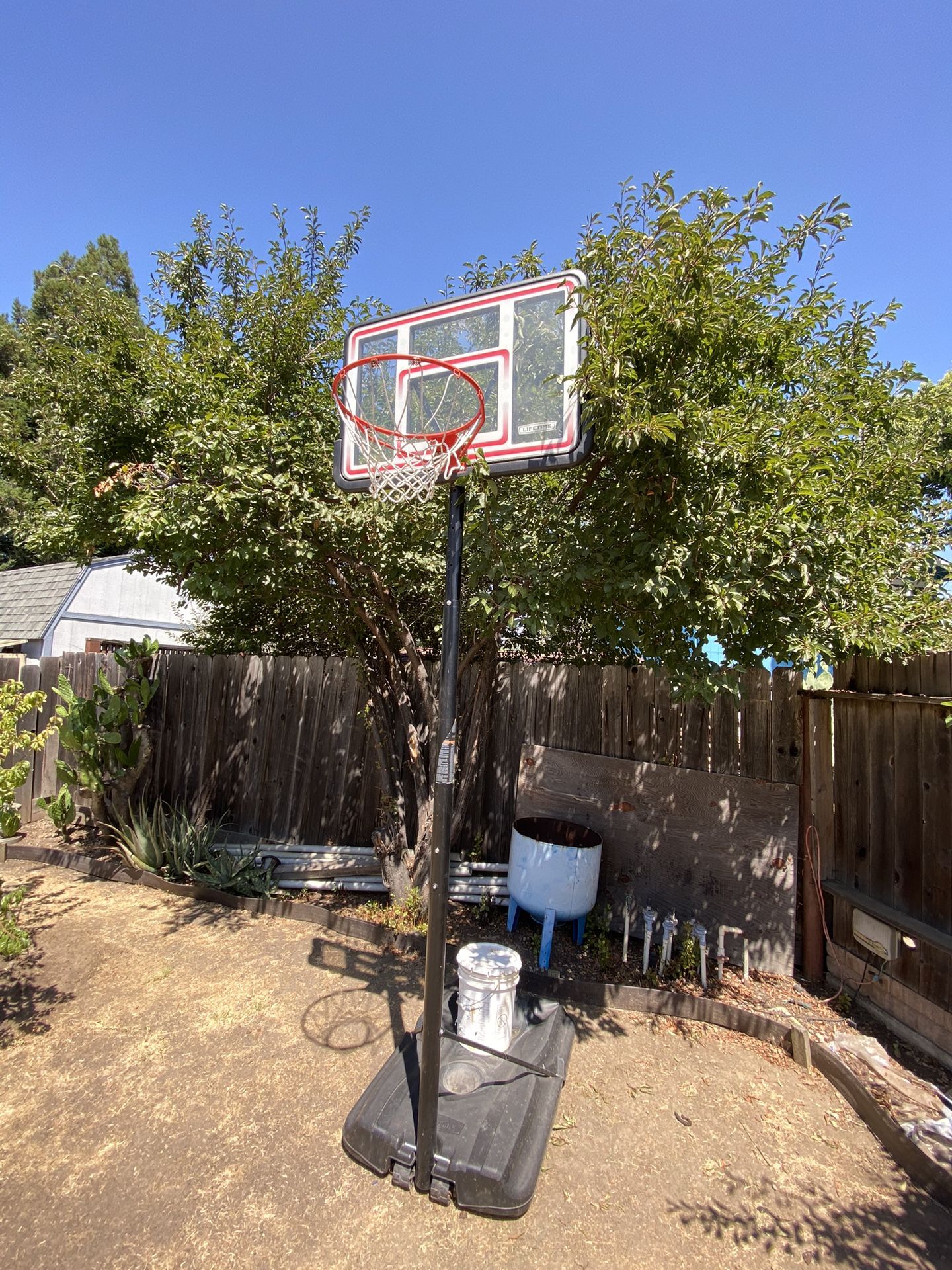 Basketball