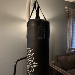 Boxing Bag 