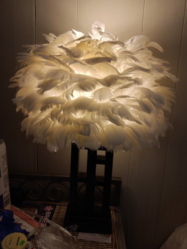 Lampshade. Feathers