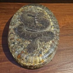 Real Diamondback Rattlesnake Vintage Resin Lucite Taxidermy