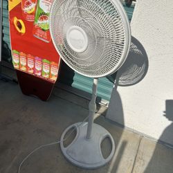 Fan