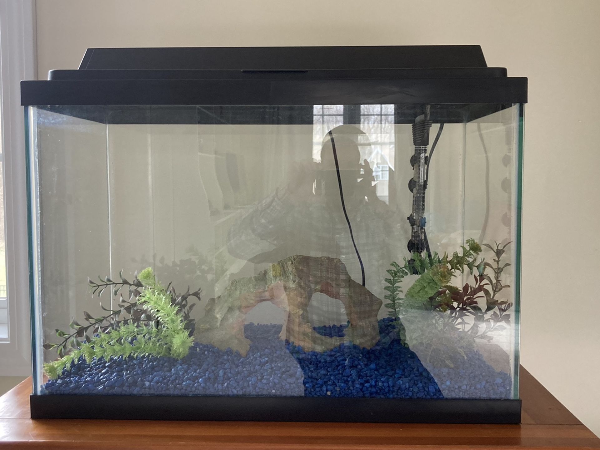 20 gallon fish tank aquarium comes with everything you need