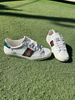 Gucci Ace Bees