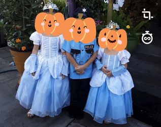 Cinderella costume