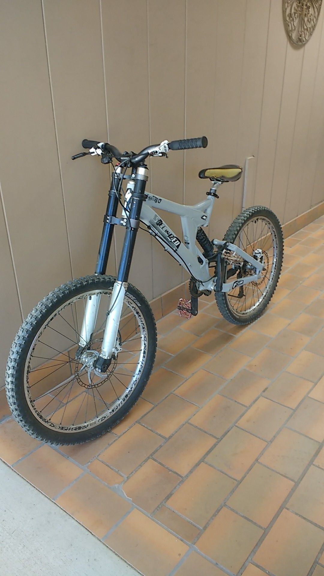 2009 specialized downhill mountain bike