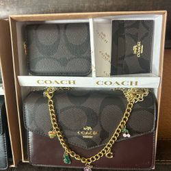 Coach bag set