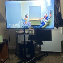 48 Inch Roku Tv With Rolling Stand