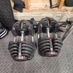 Bowflex 1090 Adjustable Dumbbell Pair