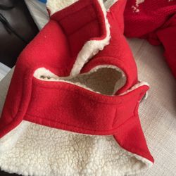 doggie  jackets 