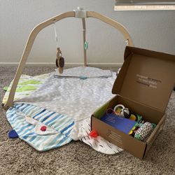 LoveEvery play gym + The Looker Play Kit