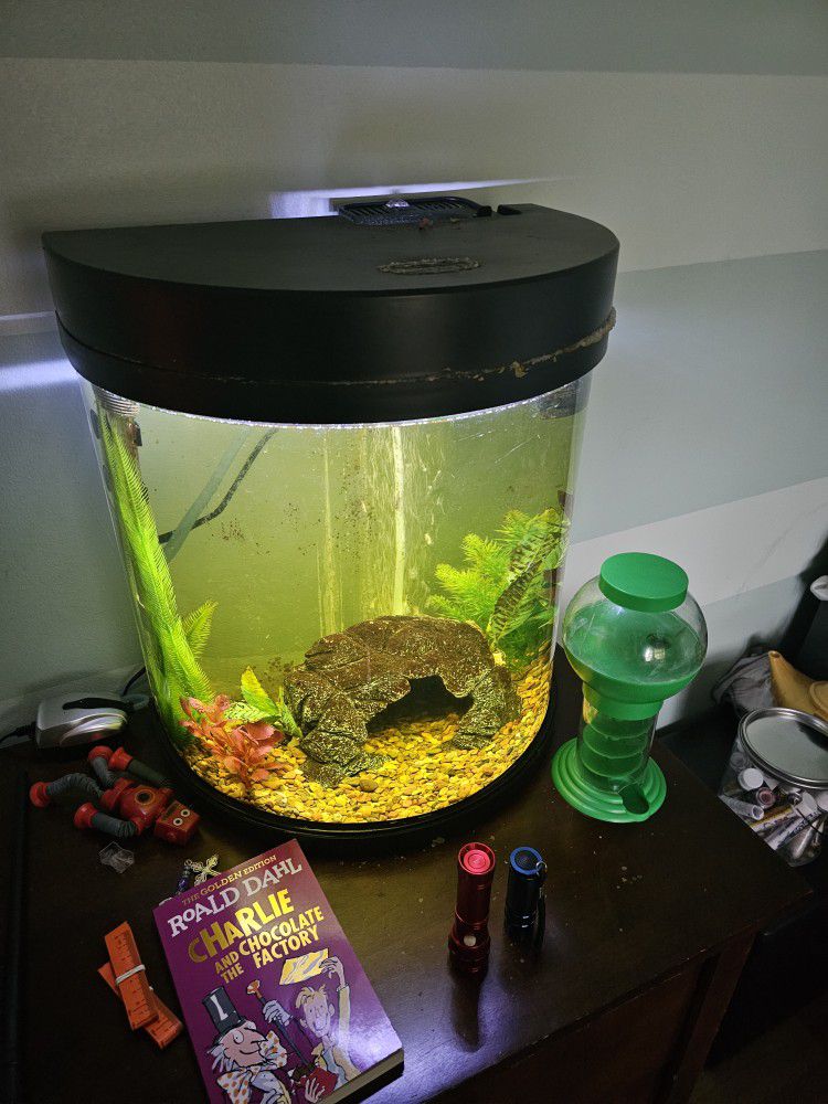 Dome Shaped Fish Tank