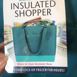 Sams Club Insulated Shopper