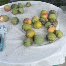Mangoes Seewt Good Quality.  0.70 Es