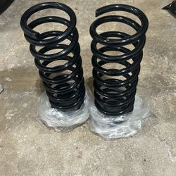 Front Coil Springs