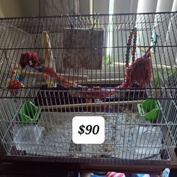 Bird Cages 🐦 🦜 Different Prices