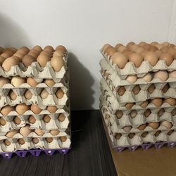 Eggs