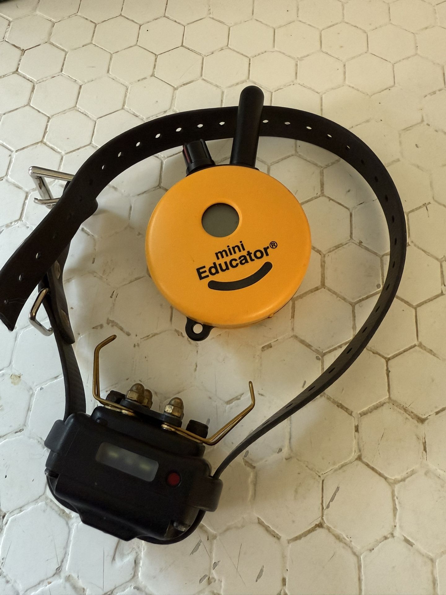 Mini Educator Dog Collar
