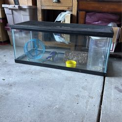 Tank With Everything Inside 