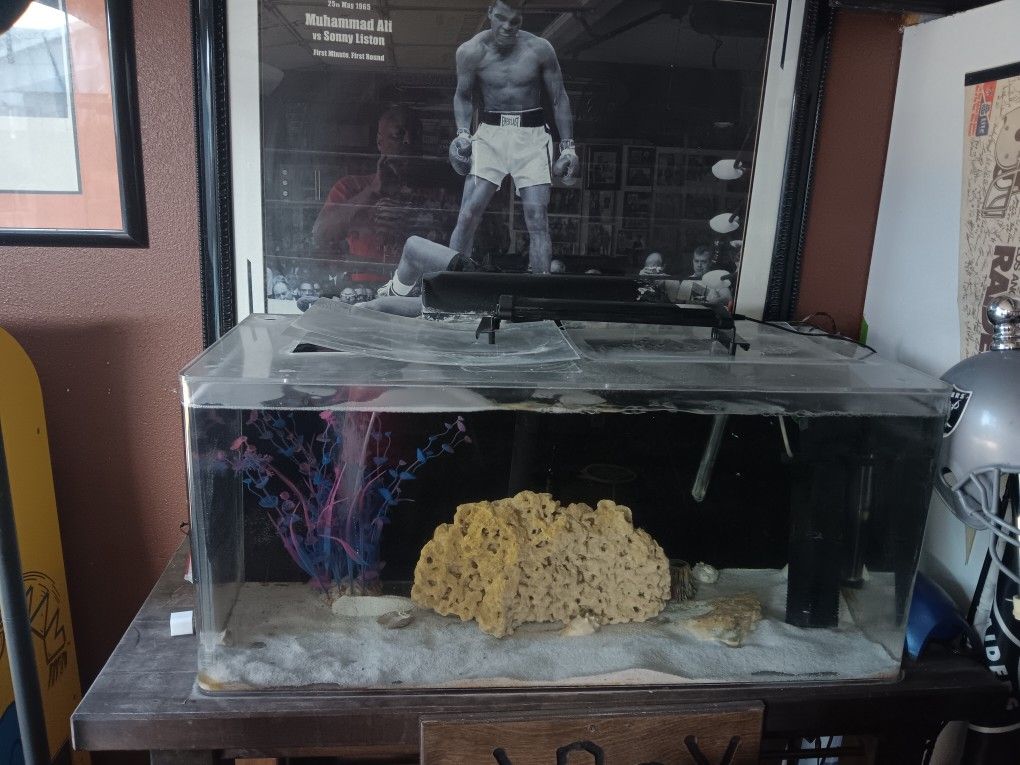 60 Gallon  Fish Tank
