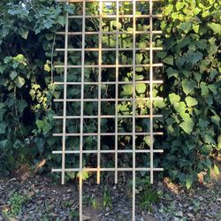 Garden Trellis NEW 38”x68”  I Do Custom Orders