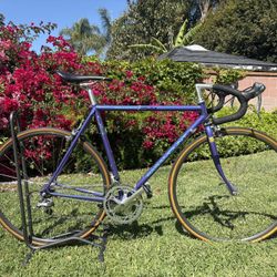 1992 Schwinn Paramount Series 7 PDG