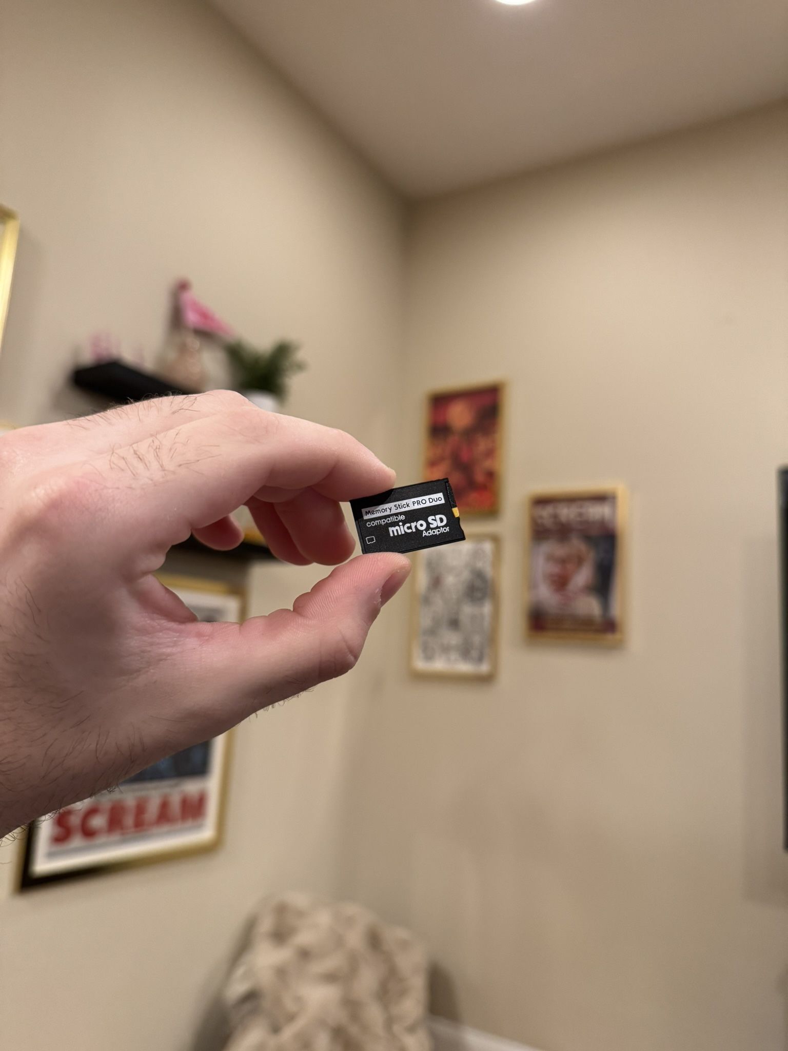 Modding/CFW Service For PSP 1000, 2000 or 3000 (64GB Or 128GB Card Loaded w/ Games) *no console*