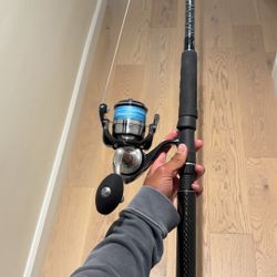 Diawa certate and plasma star rod