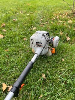 Echo edger