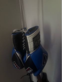 Pro boxing gloves 16 ounces