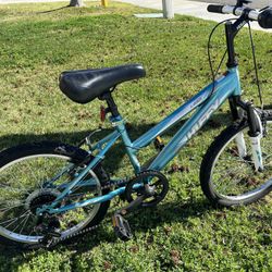 Girls 24 Inch Bicycle, Blue And Color Huffy 