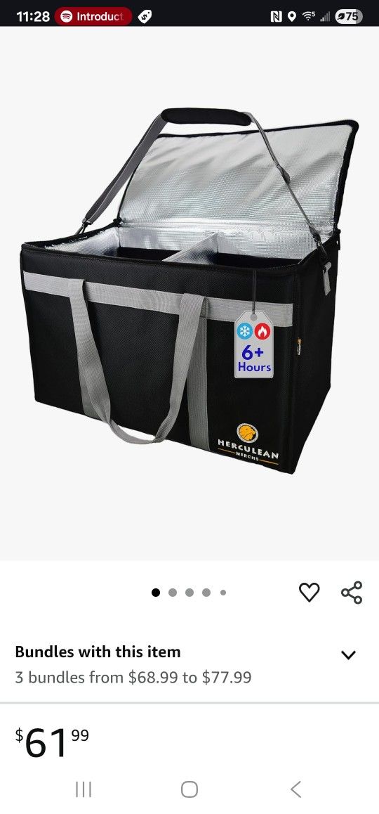 Large Foldable Cooler Bag
