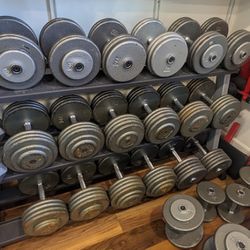 Fixed Dumbbell Set - 1,210 Total Weight