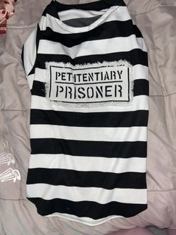 Prisoner Halloween Costume