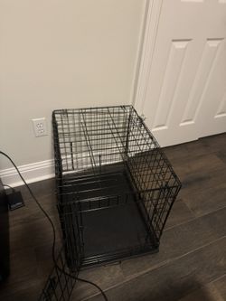 Cat/Dog kennel
