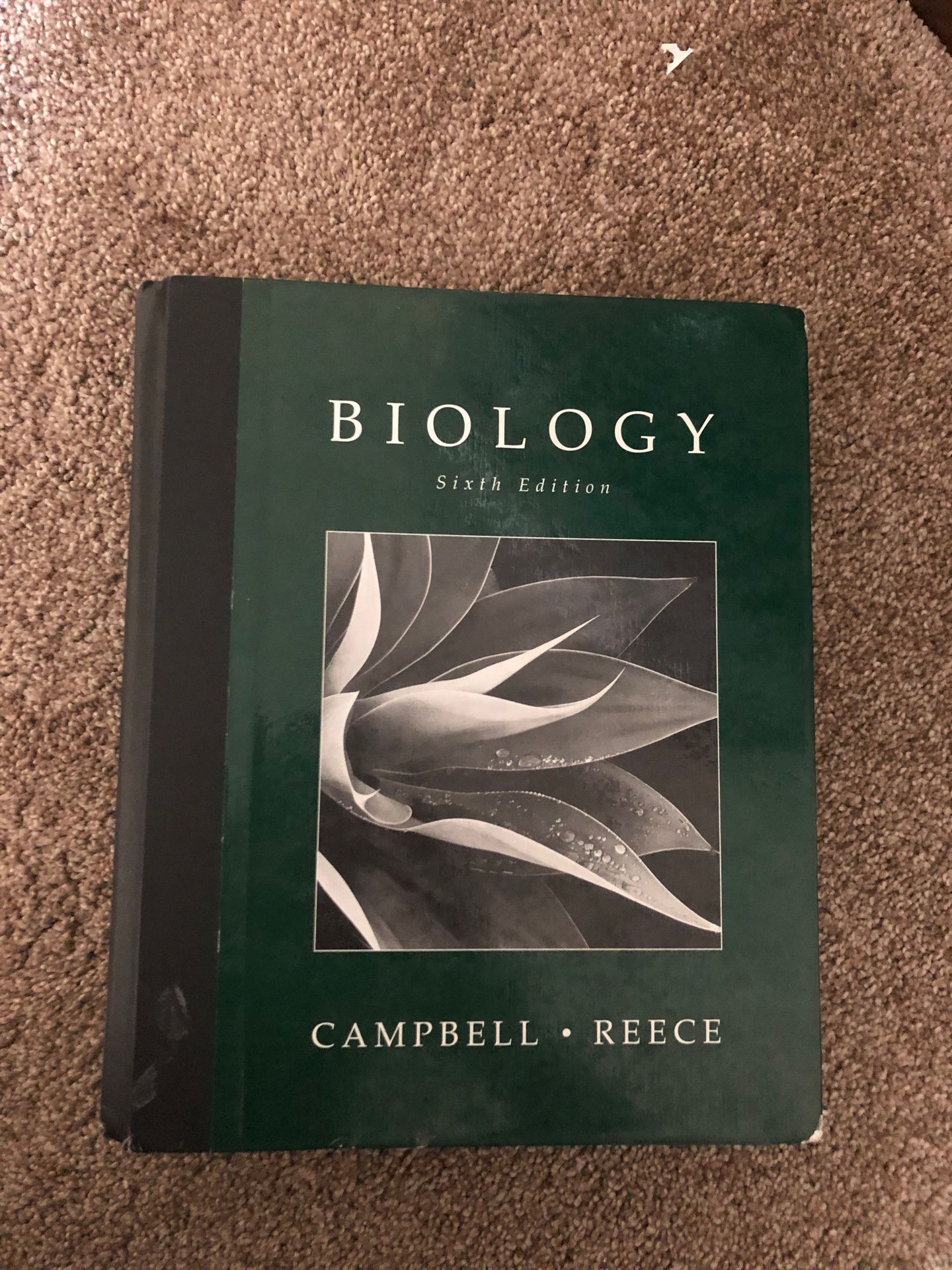 Biology sixth edition